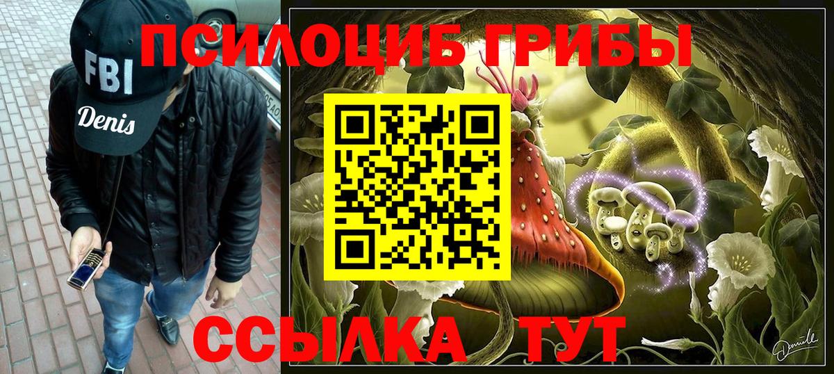 Лесосибирск  даркнет сайт  Вход с VPN  Галлюциногенные грибы мухоморы  Галлюциногенные грибы мицелий 